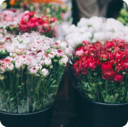 Red and white flower arrangement